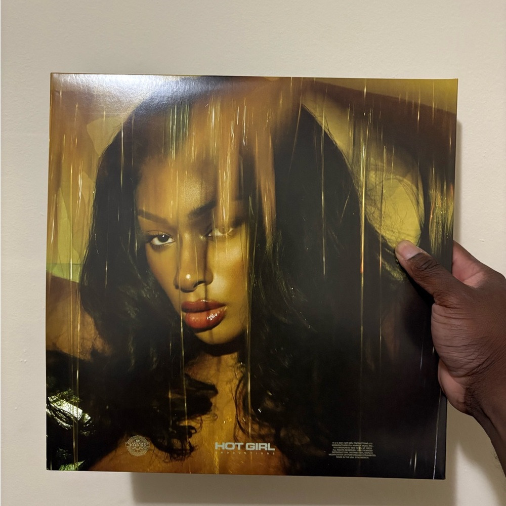 Hot Girl Vinyl Record